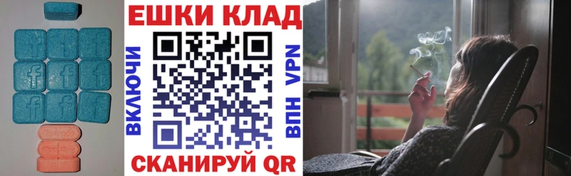 Купить  Ефремов  Экстази TESLA 