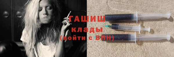 гашик Алексин