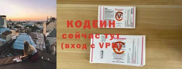 гашик Алексин