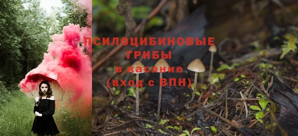 спайс Алзамай