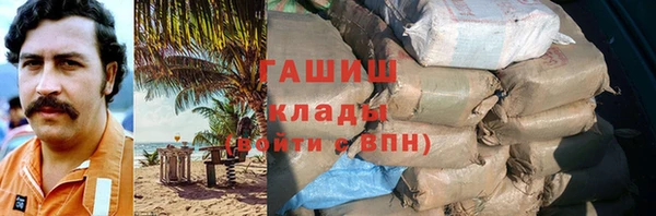 гашик Алексин