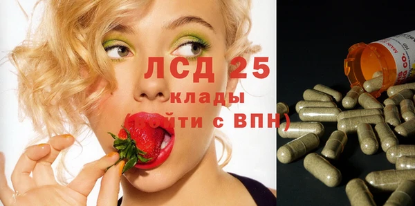 спайс Алзамай
