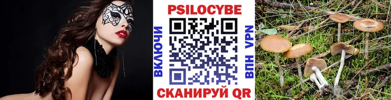 Галлюциногенные грибы Psilocybe  Купить закладки  Ефремов 