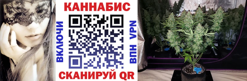Купить закладки  Ефремов  Марихуана конопля 